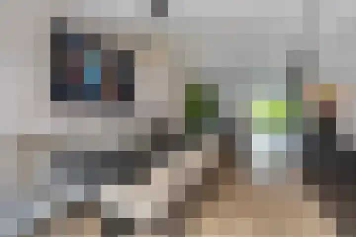 Middelingenseweg 15 Hedel thumbnail 13