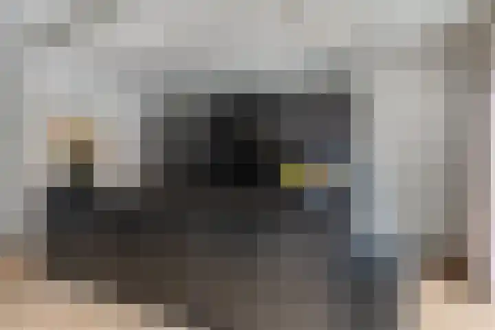 Middelingenseweg 15 Hedel thumbnail 16