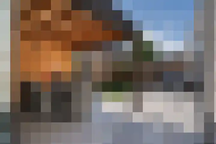 Middelingenseweg 15 Hedel thumbnail 37