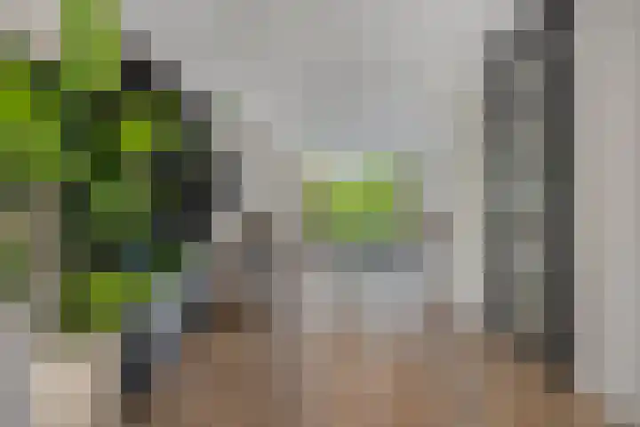 Middelingenseweg 15 Hedel thumbnail 4