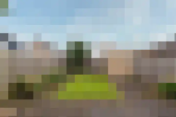 Middellaan 10 Zeist thumbnail 19