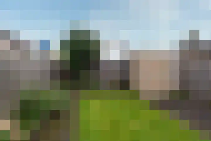 Middellaan 10 Zeist thumbnail 20