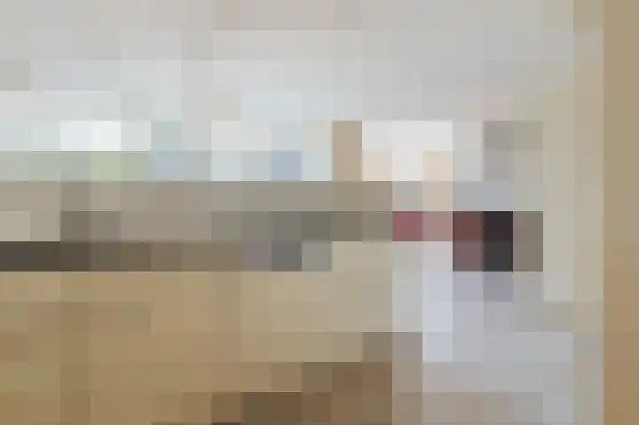 Middellaan 14 Breda thumbnail 10