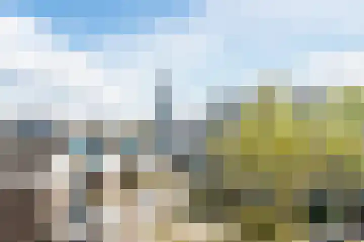 Middellaan 14 Breda thumbnail 4
