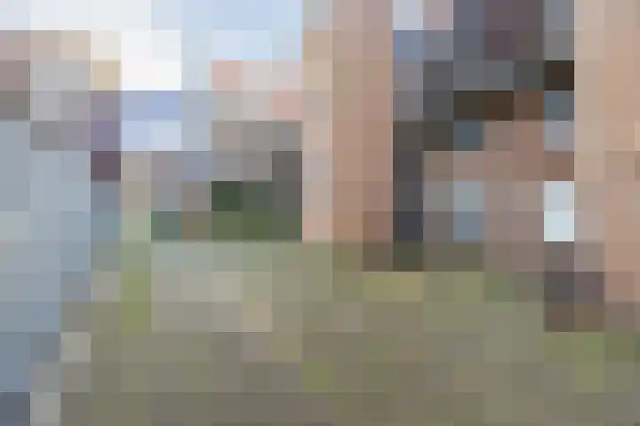 Middellaan 150 Breda thumbnail 10