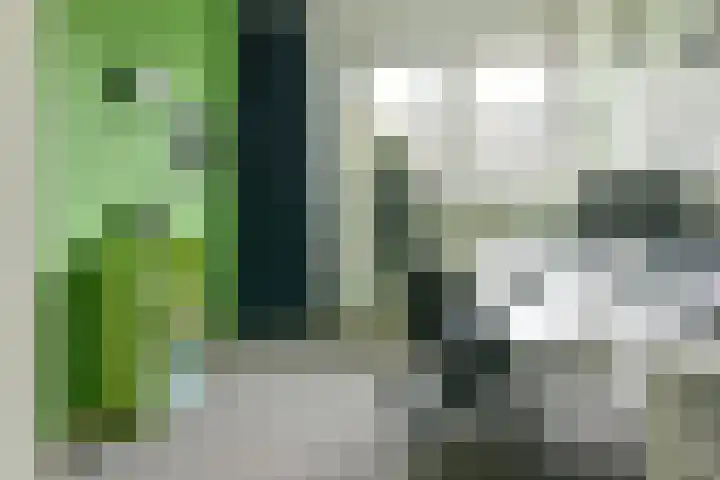 Middellaan 150 Breda thumbnail 29