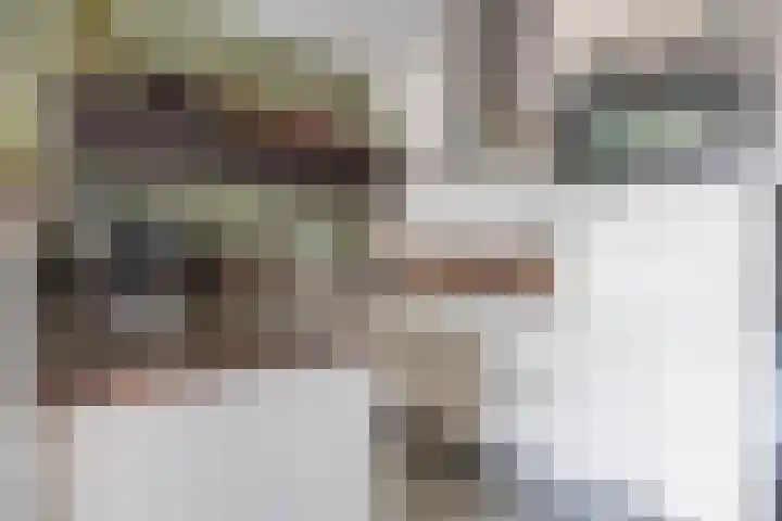 Middellaan 150 Breda thumbnail 30