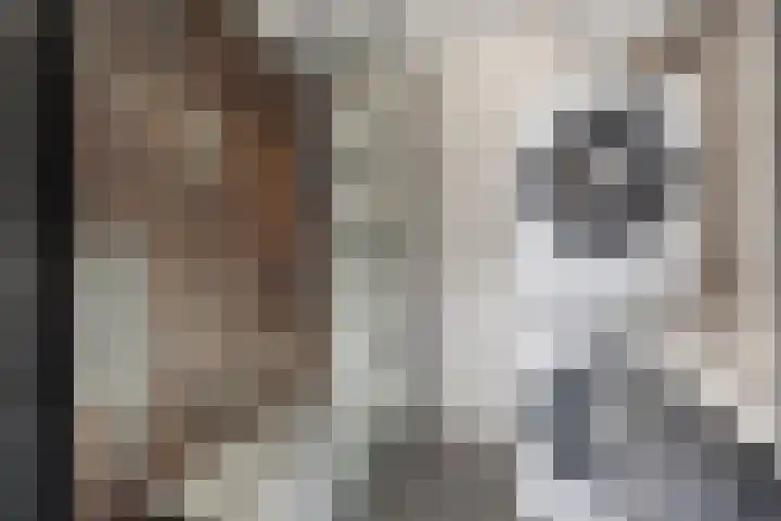 Middellaan 150 Breda thumbnail 39