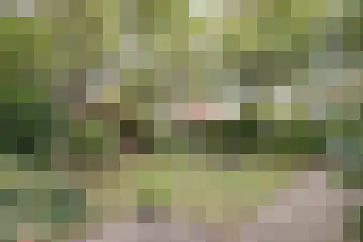 Middellaan 220 Breda