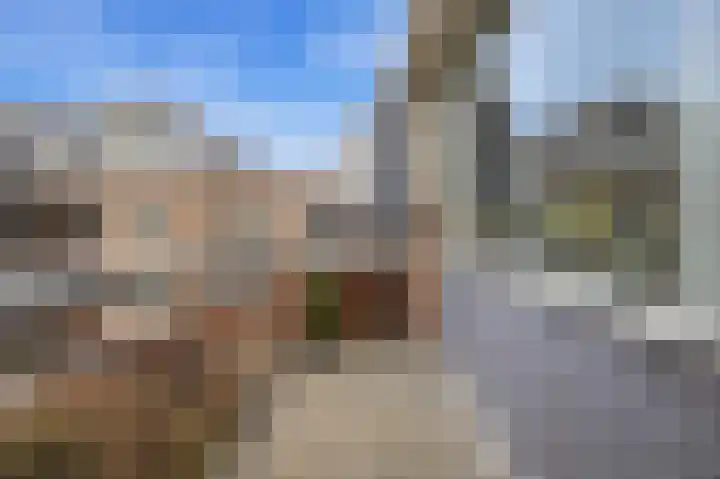 Middellaan 316 Breda thumbnail 13