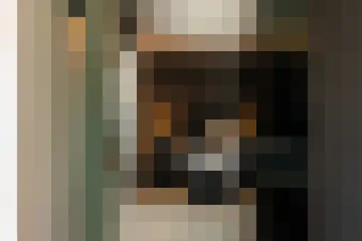 Middellaan 50 Breda thumbnail 30