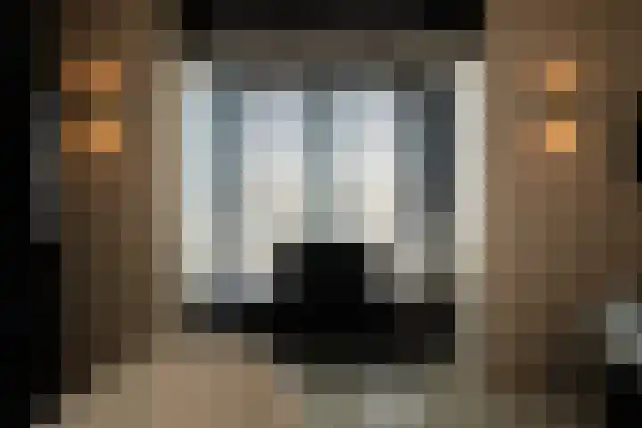 Middellaan 50 Breda thumbnail 38