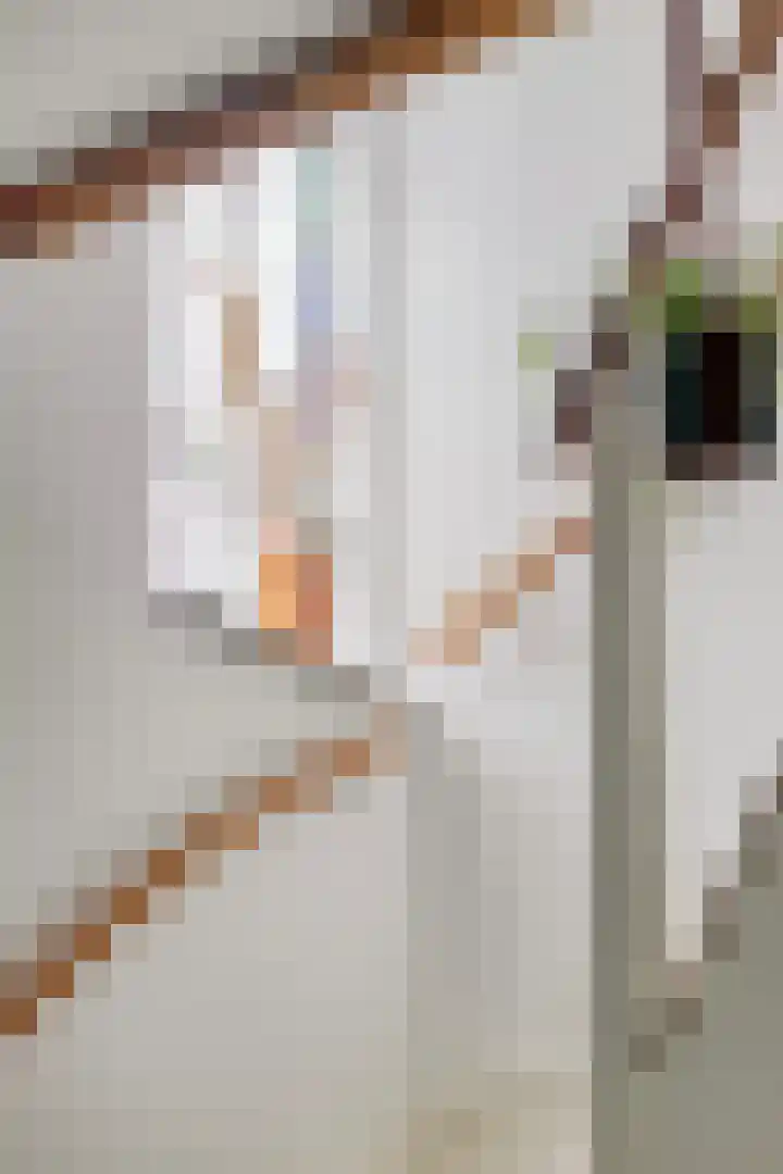 Middellaan 8 Velp thumbnail 17