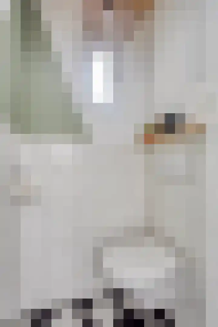 Middellaan 8 Velp thumbnail 18