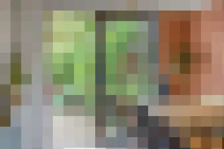 Middellaan 8 Velp thumbnail 23