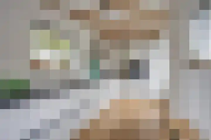 Middellaan 8 Velp thumbnail 29