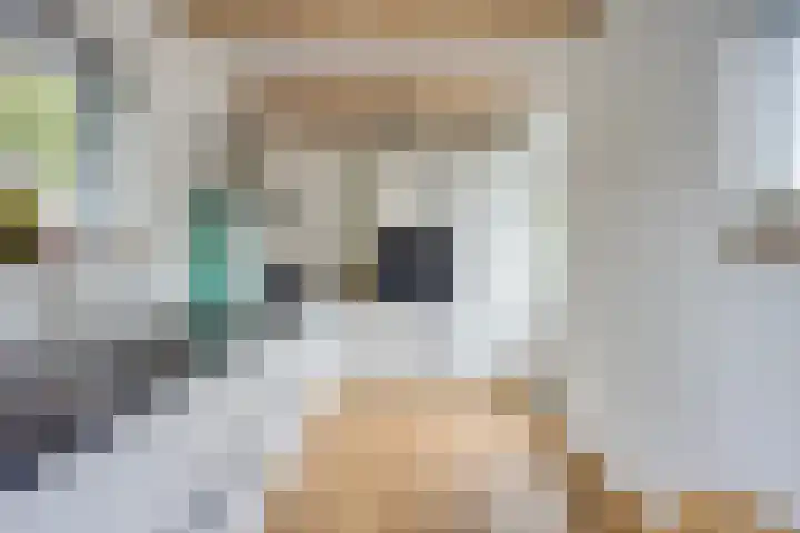 Middellaan 8 Velp thumbnail 32