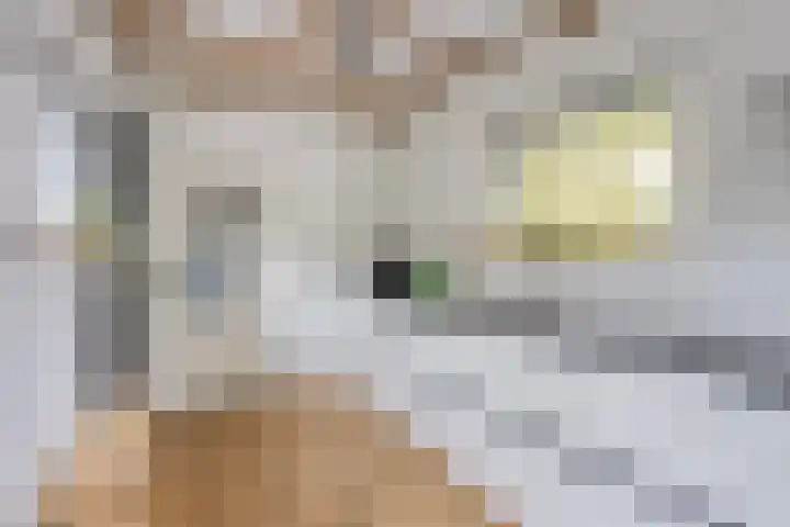 Middellaan 8 Velp thumbnail 33