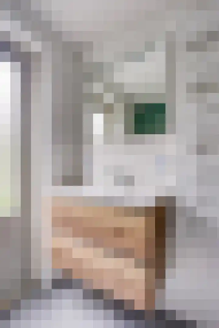 Middellaan 8 Velp thumbnail 41