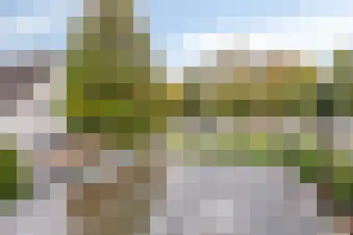 Middellaan 8 Velp thumbnail 43