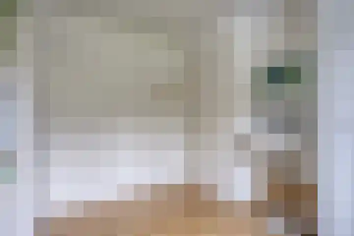 Middellaan 8 Velp thumbnail 50