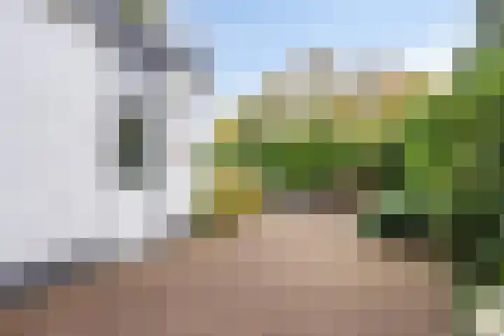 Middellaan 8 Velp thumbnail 55