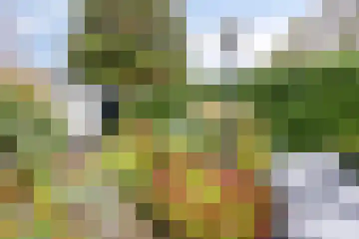 Middellaan 8 Velp thumbnail 60