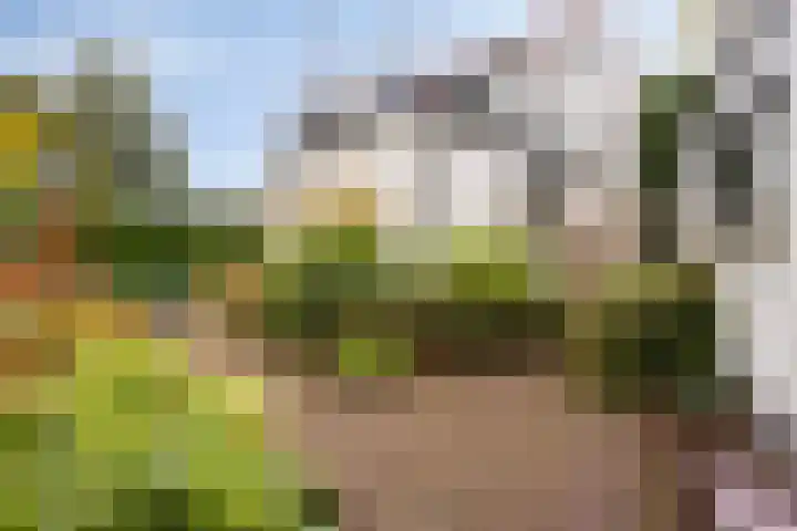 Middellaan 8 Velp thumbnail 62