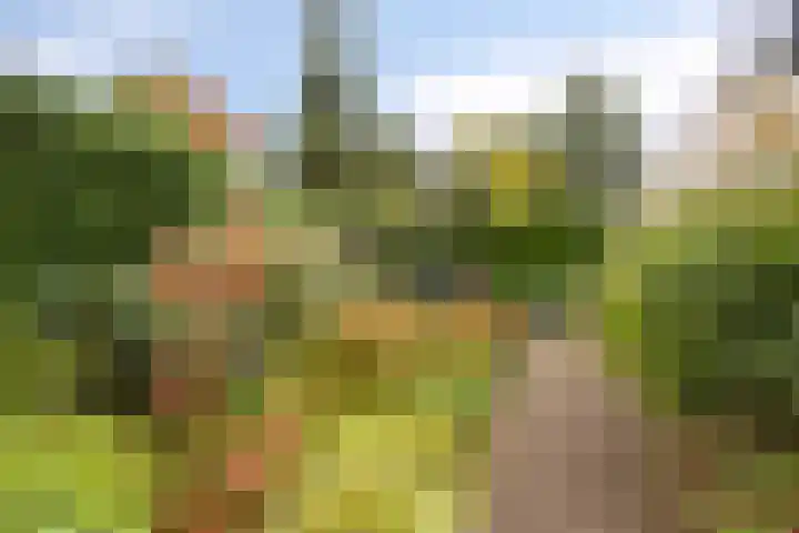 Middellaan 8 Velp thumbnail 63