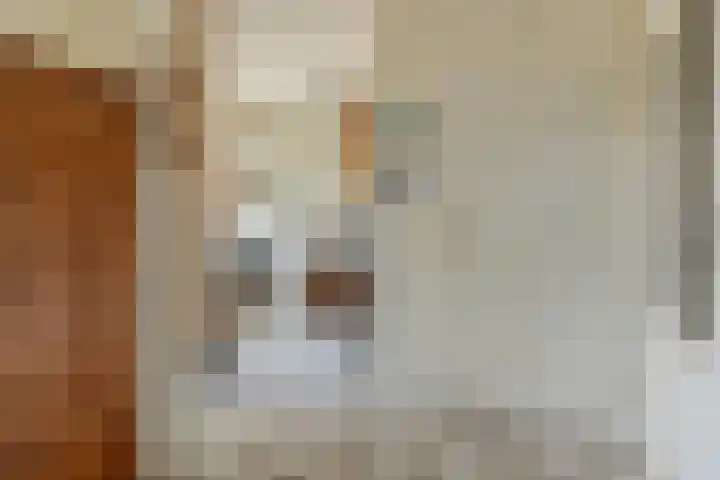 Middellaken 17 Leusden thumbnail 15