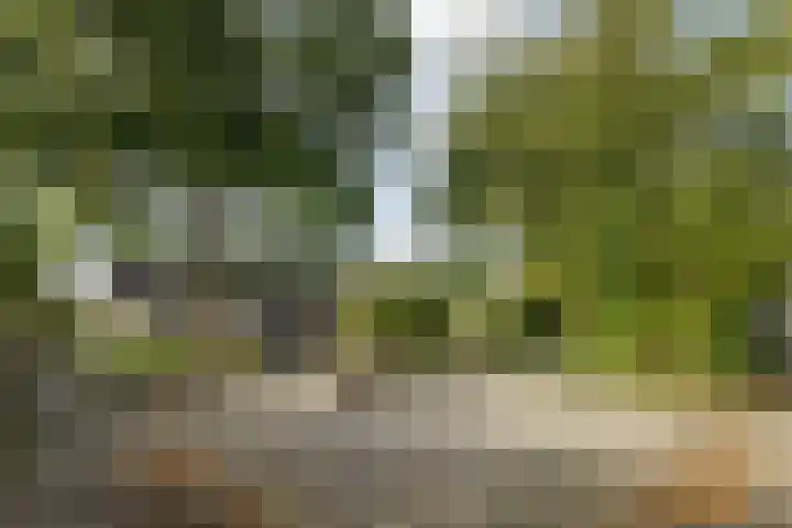 Middellaken 17 Leusden thumbnail 31