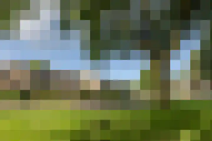 Middellaken 17 Leusden thumbnail 32