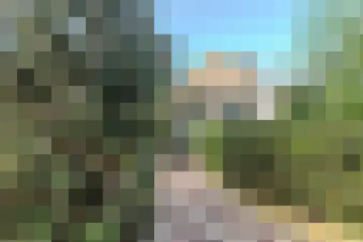 Middellaken 17 Leusden thumbnail 5