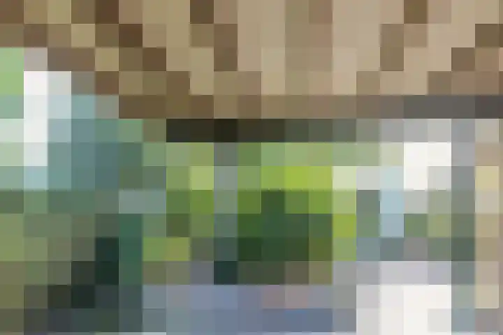Middellaken 17 Leusden thumbnail 9