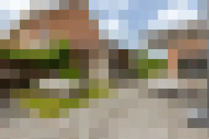 Middellantweide 13 Hellevoetsluis thumbnail 42