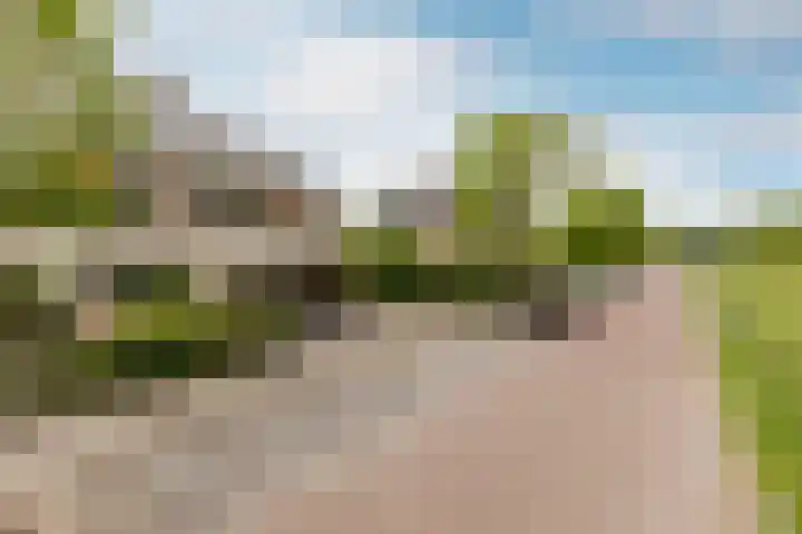 Middellantweide 13 Hellevoetsluis thumbnail 5