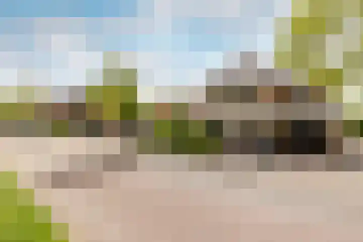 Middellantweide 13 Hellevoetsluis thumbnail 7