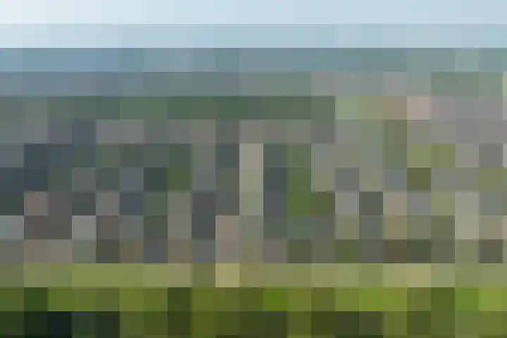 Middellantweide 15 Hellevoetsluis thumbnail 15