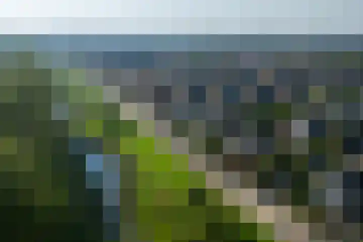 Middellantweide 15 Hellevoetsluis thumbnail 16