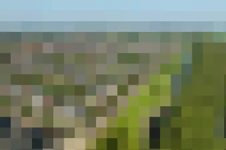 Middellantweide 15 Hellevoetsluis thumbnail 17