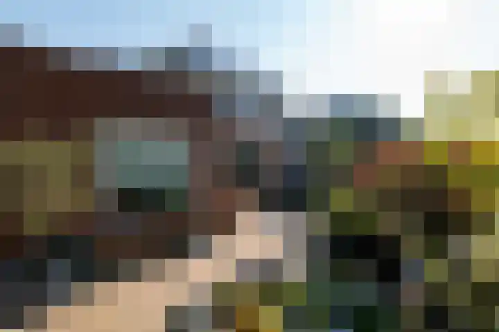 Middellantweide 15 Hellevoetsluis thumbnail 7