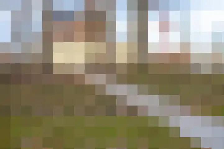 Middelmeede 24 Made thumbnail 41