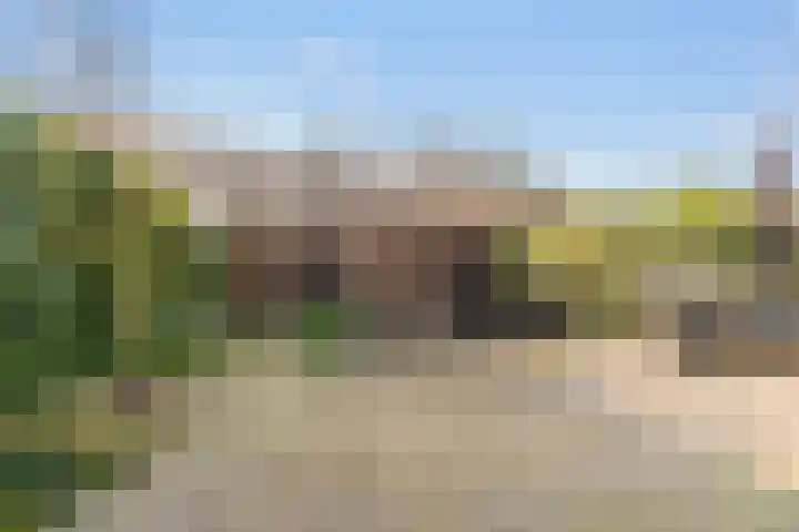 Middelmolen 1 Harmelen thumbnail 7