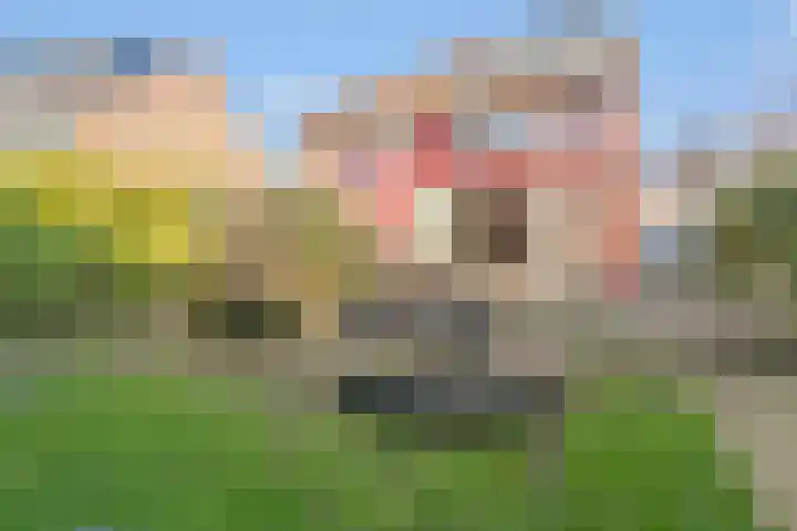 Middelmolen 1 Harmelen thumbnail 9