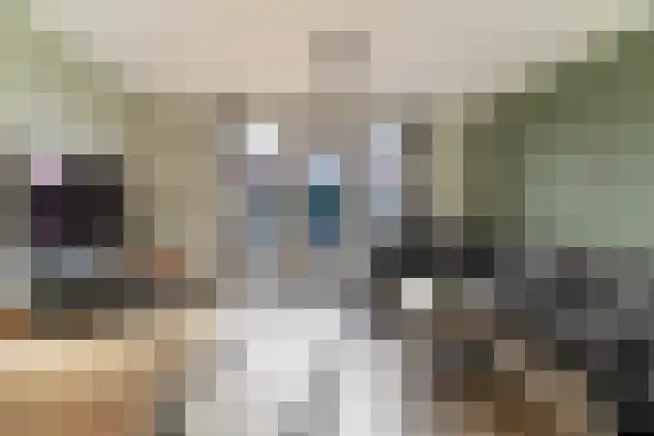 Middeloo 41 Obdam thumbnail 12