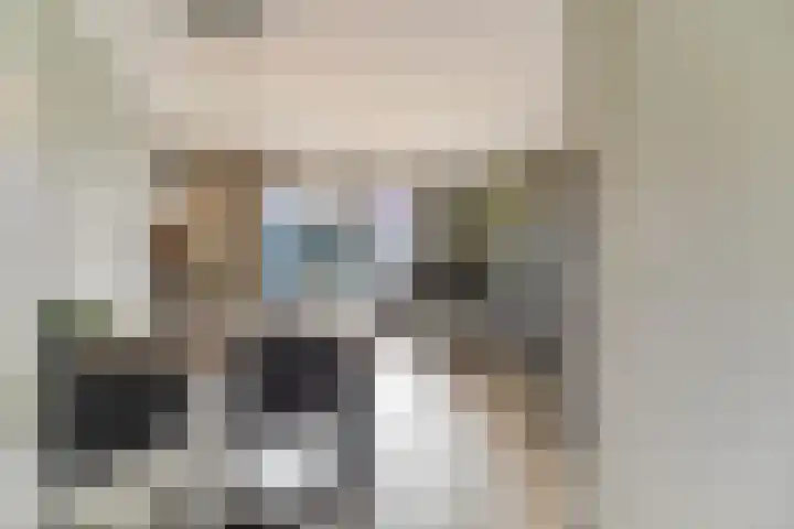 Middeloo 41 Obdam thumbnail 20