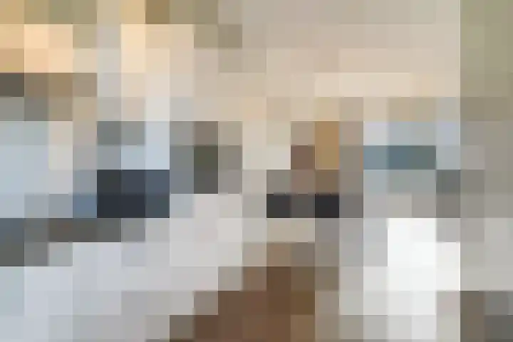 Middeloo 41 Obdam thumbnail 25