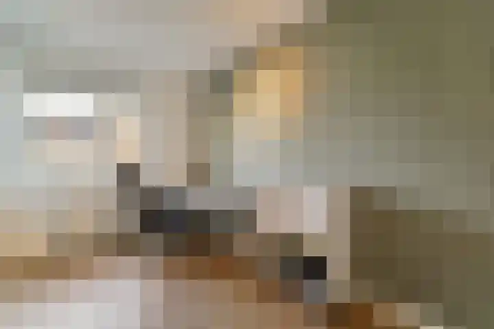 Middeloo 41 Obdam thumbnail 34