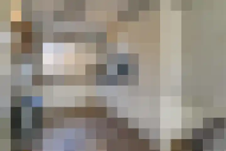 Middeloo 41 Obdam thumbnail 4