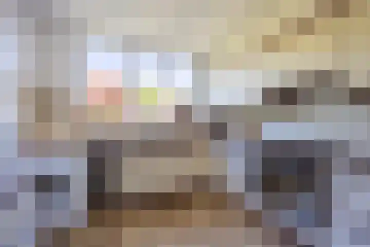 Middeloolaan 15 Driehuis NH thumbnail 11